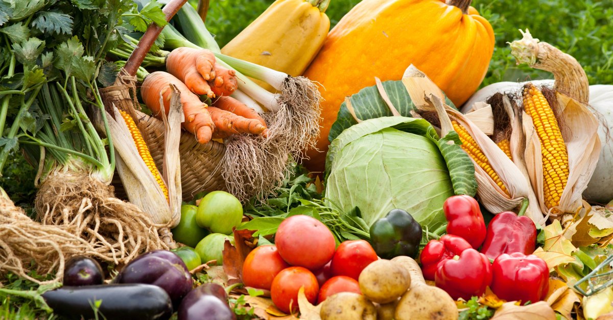 How to Create a Bird-Friendly Garden: Easy Tips to Attract and Support Local Birds How to Create a Bird-Friendly Garden: Easy Tips to Attract and Support Local Birds