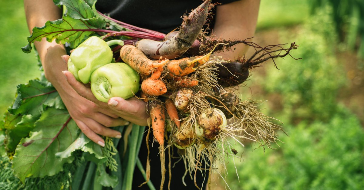 Growing Plants for Beneficial Insects: Boost Pollination & Natural Pest Control in Your Garden Growing Plants for Beneficial Insects: Boost Pollination & Natural Pest Control in Your Garden